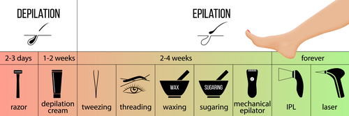 An Infographic That Shows The Length Of Time Waxing & Other Hair Removal Methods Last