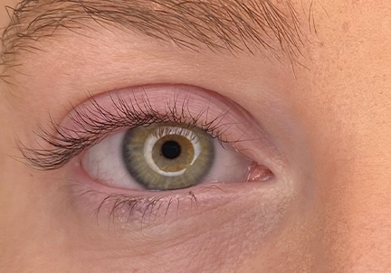 An After Photo of a Lash Lift & Tint In Seattle & Tacoma